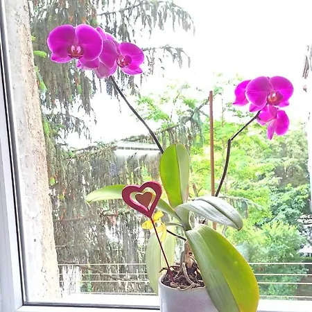 شقة Daria Lorenzo *