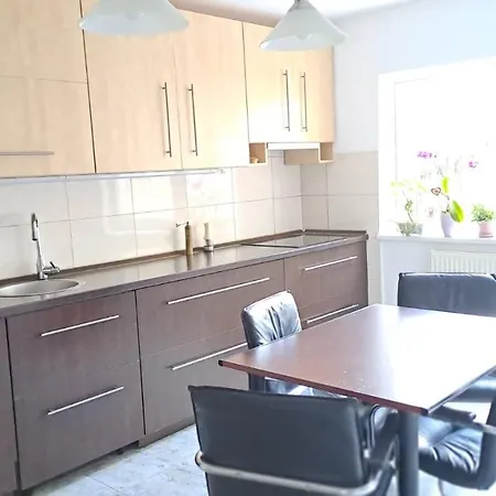 Daria Lorenzo تيميشورا