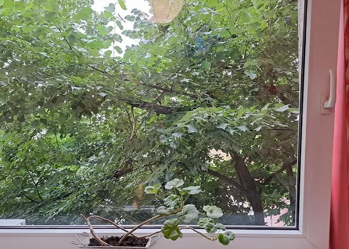 Appartement Daria Lorenzo Timişoara