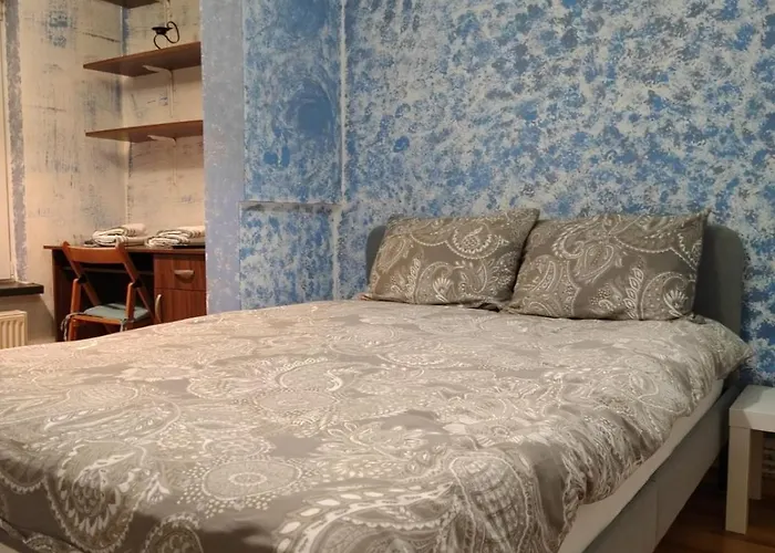 Daria Lorenzo Timişoara