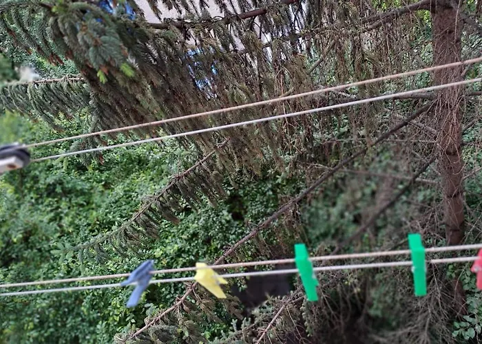 Daria Lorenzo Apartmán *