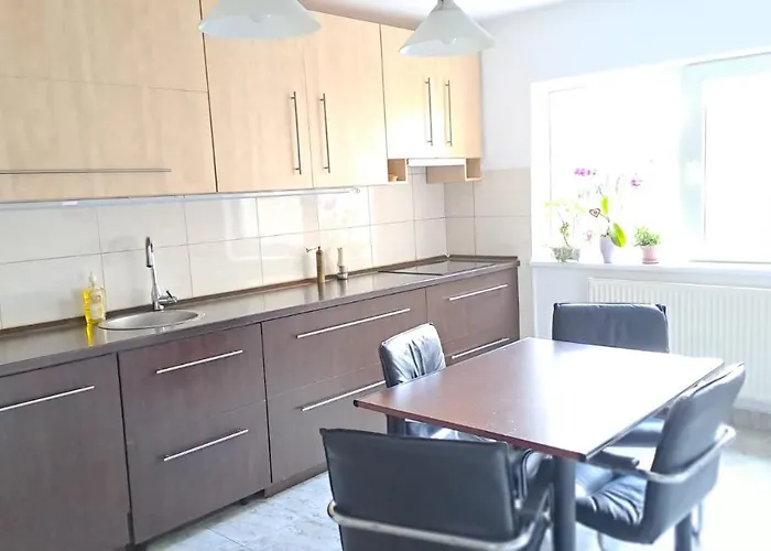 Daria Lorenzo Temešvár